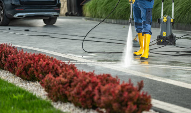 Best Deck Pressure Washing  in Fairbank, IA