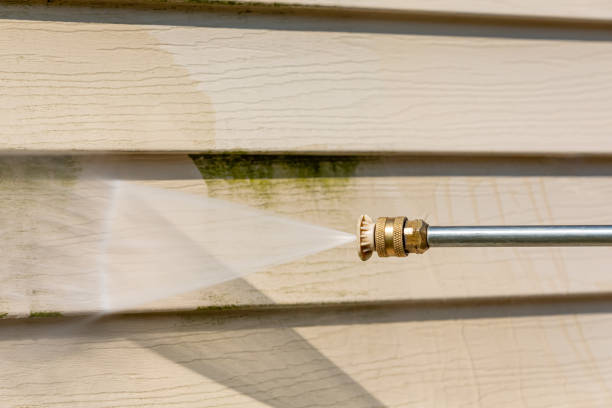Best Local Pressure Washing Services  in Fairbank, IA